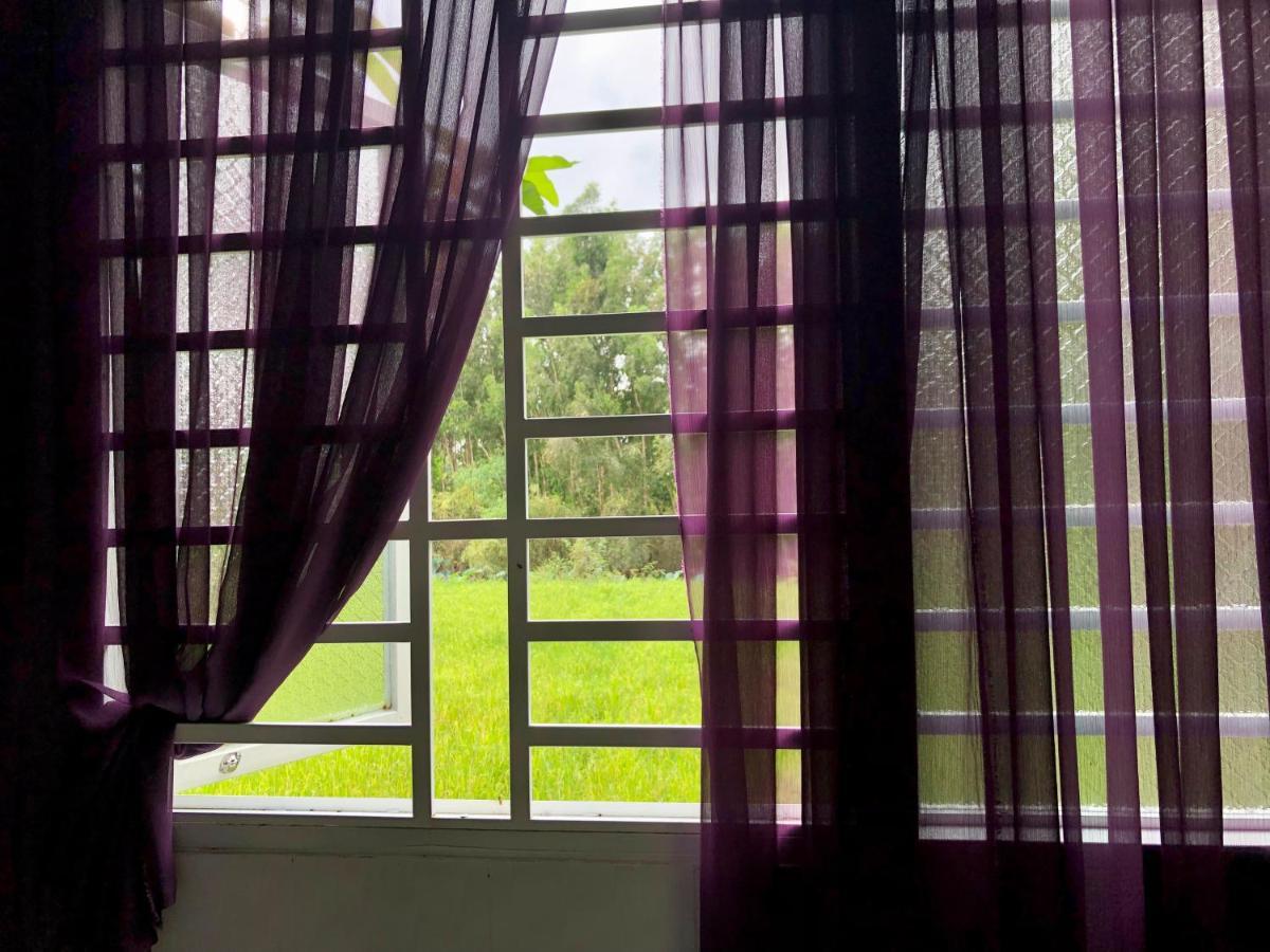 Huong Tram Homestay Ho Da المظهر الخارجي الصورة