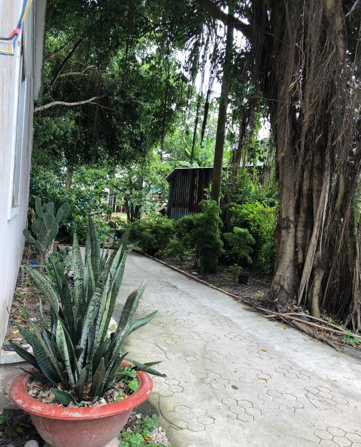 Huong Tram Homestay Ho Da المظهر الخارجي الصورة