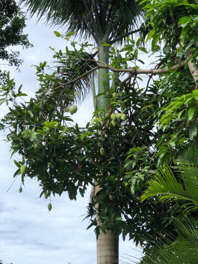 Huong Tram Homestay Ho Da المظهر الخارجي الصورة