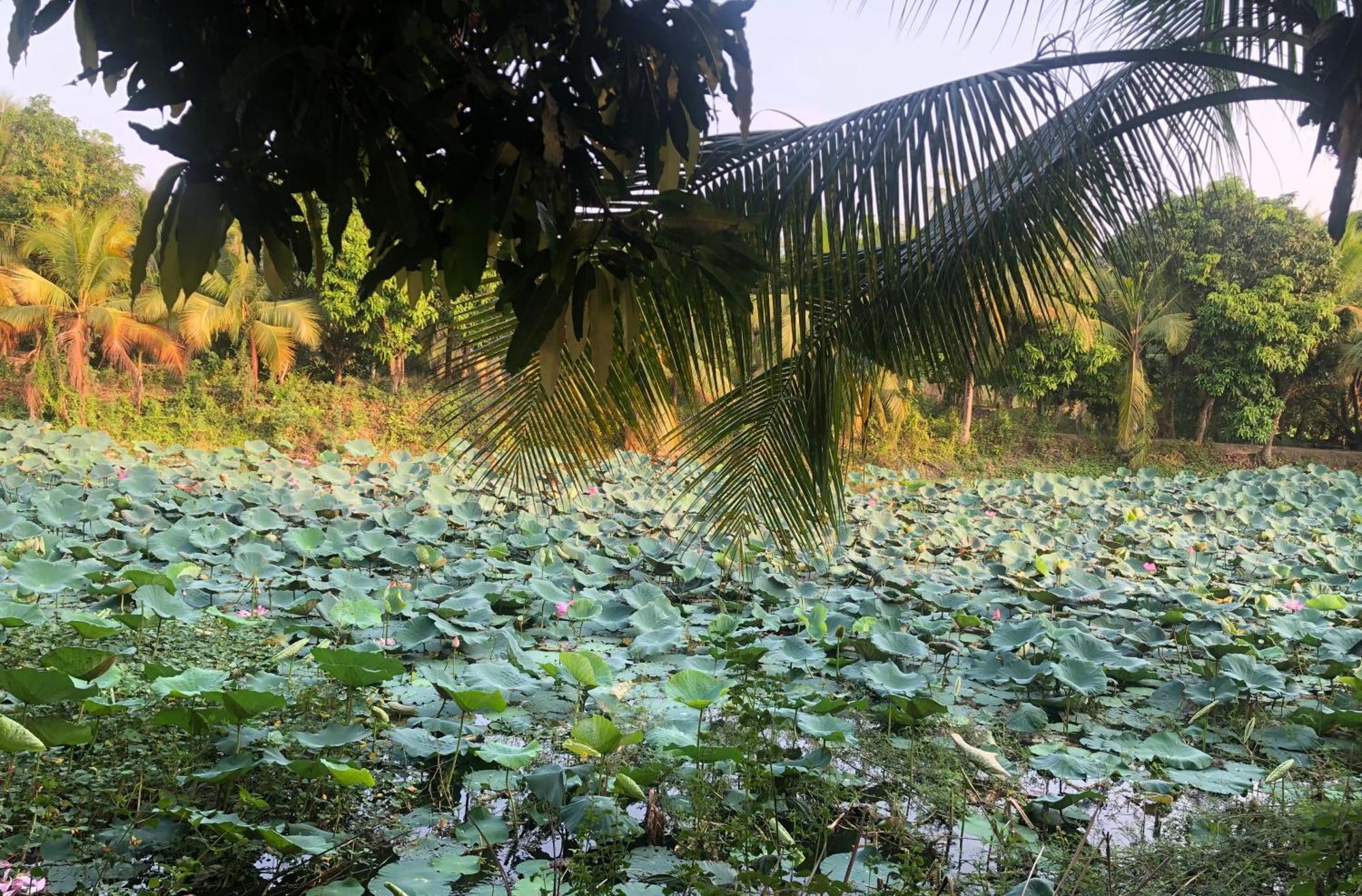 Huong Tram Homestay Ho Da المظهر الخارجي الصورة