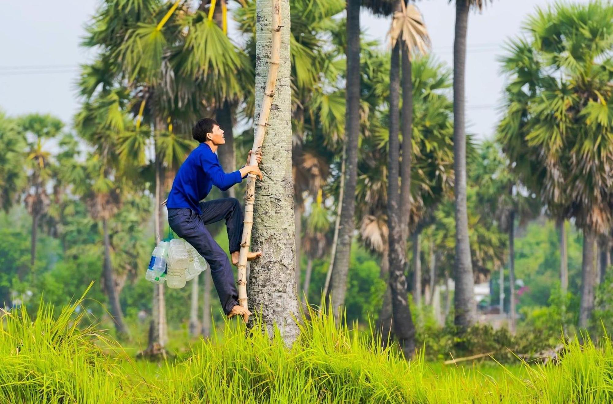 Huong Tram Homestay Ho Da المظهر الخارجي الصورة