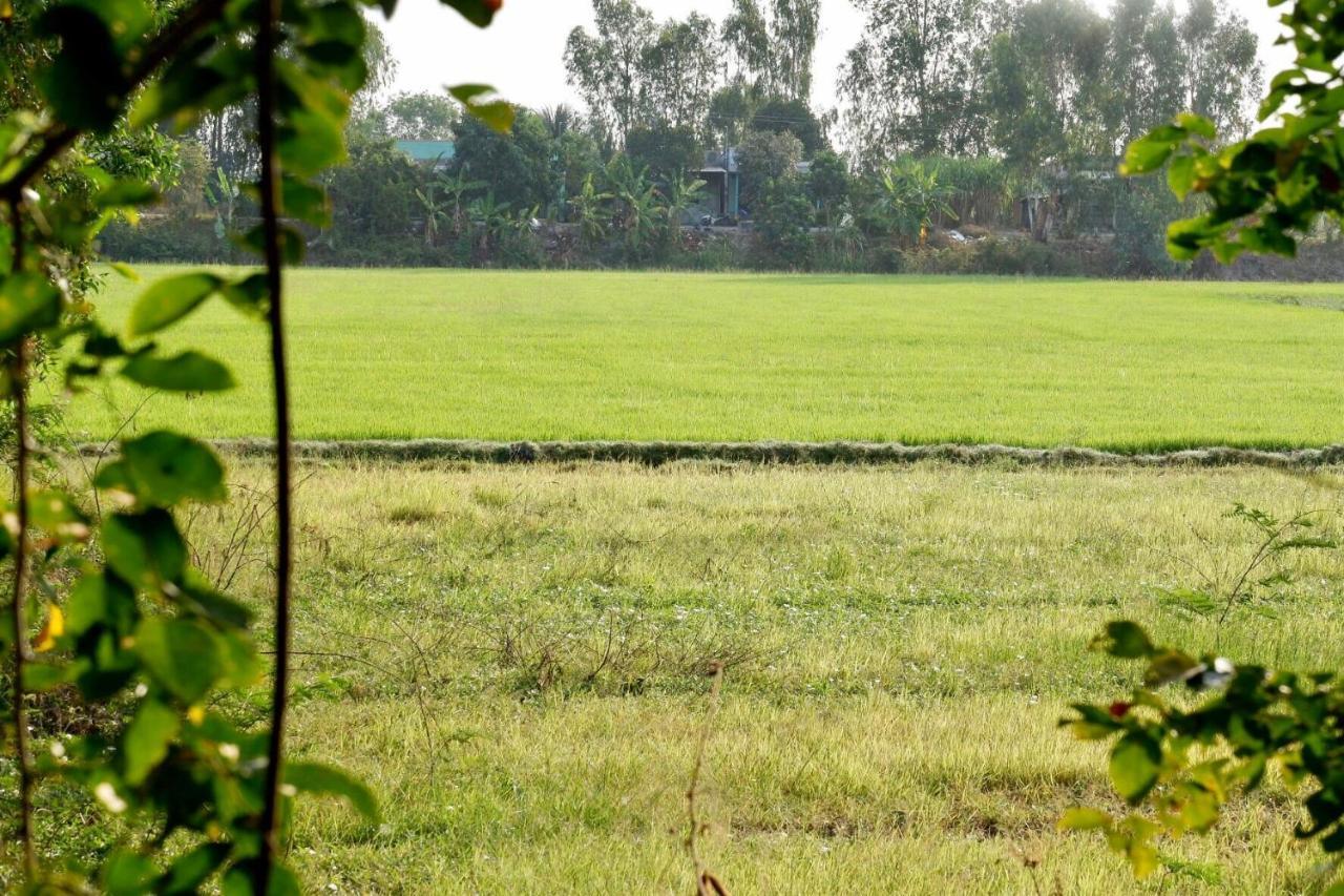 Huong Tram Homestay Ho Da المظهر الخارجي الصورة
